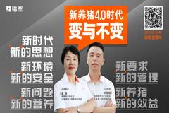 从脏乱差到4.0时代，养猪到底经历了什么？我们要怎样才能赚钱