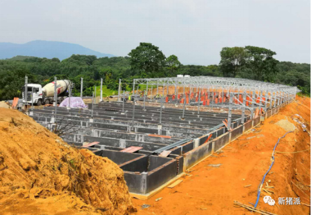 项目工地建设如火如荼
