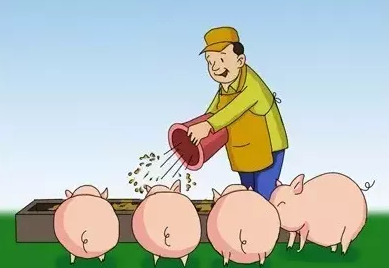 上海农商银行成功发放生猪活体资产抵押贷款