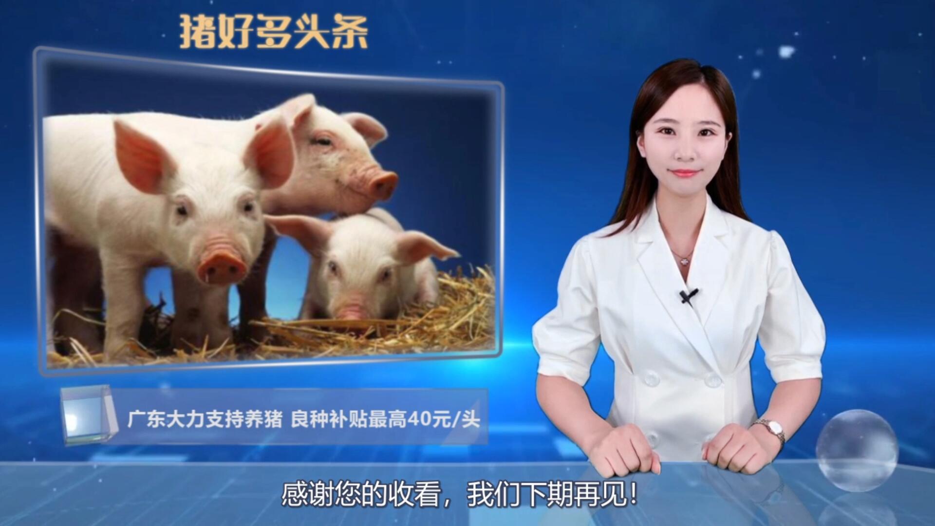  广东大力支持养猪！良种补贴最高40元、109家猪企获3,374万元贴息 