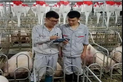 人才成长 新化德康滕银：“亲兄弟，更要明算账！”