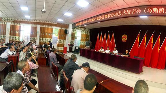 生猪产业扶贫增收行动技术培训会