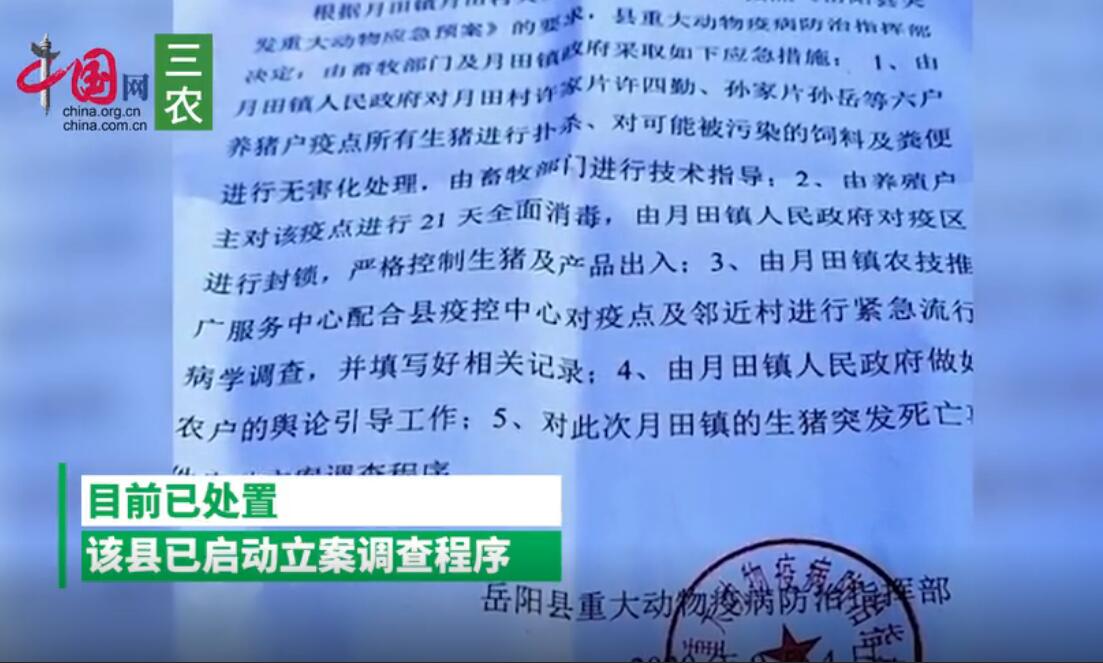  湖南岳阳突发生猪死亡事件，官方：已应急处置