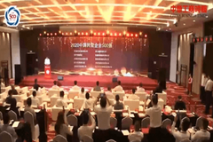 666亿，江西前3，全国113！双胞胎再登中国民企500强