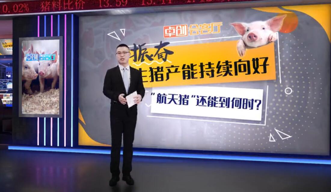  卓创会客厅—振奋！生猪产能持续向好 “航天猪”还能到何时？