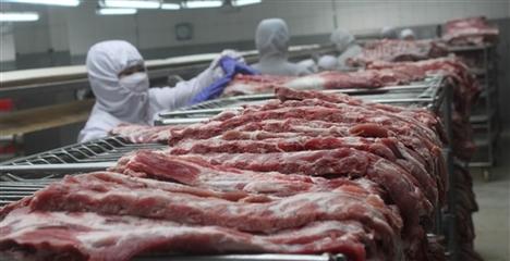 猪肉