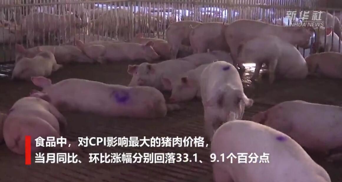 8月CPI同比涨2.4% 猪肉价格涨幅回落！