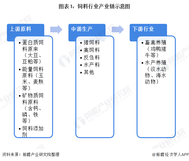 饲料