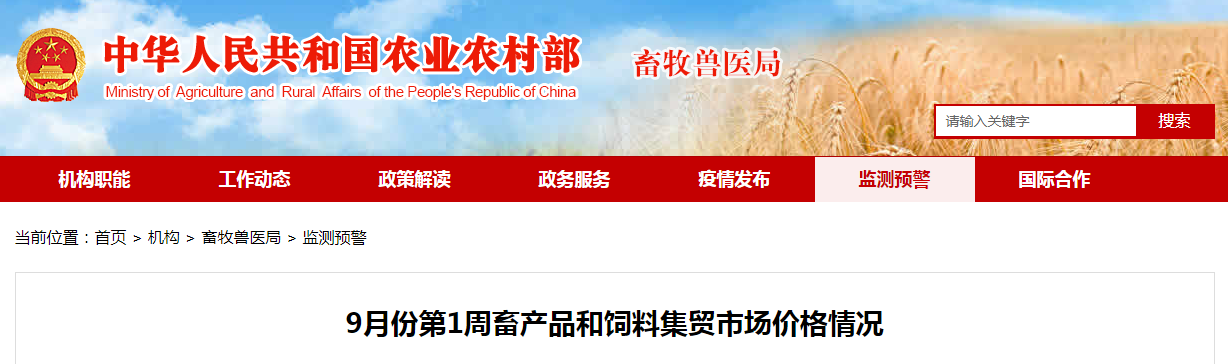 仔猪价格