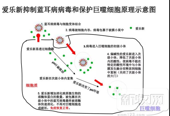 示意图