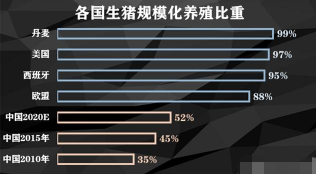 生猪养殖