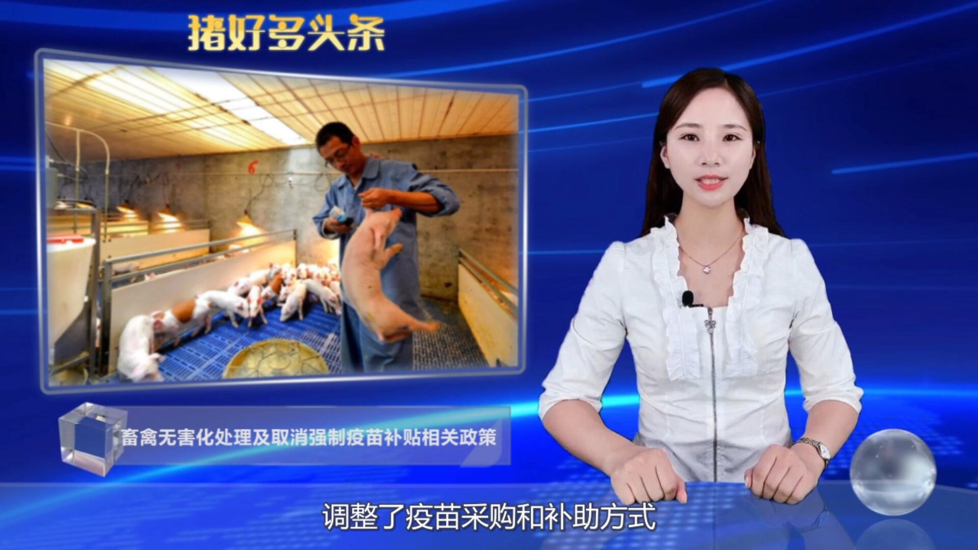  关注：取消生猪强制疫苗补贴、病死畜禽无害化处理相关政策！