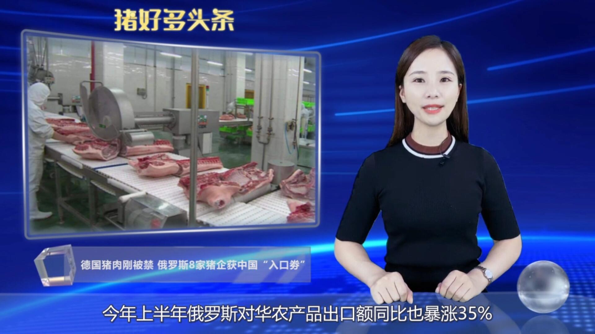 德国猪肉遭禁止，俄罗斯共49家肉企获中国“入场券”