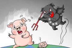 疫情常态化的今天 为何四川非瘟依旧如此严重?