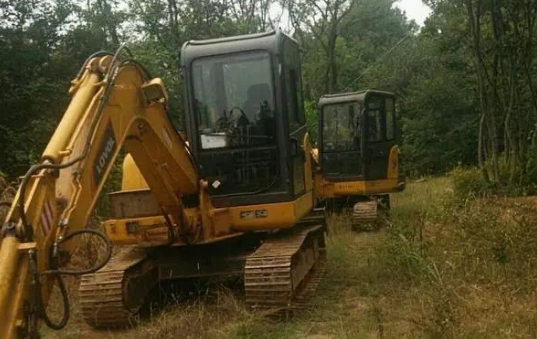 圈地迁坟为养猪让路？安徽一山林未批先建大型养猪场，数千树木被违规砍伐