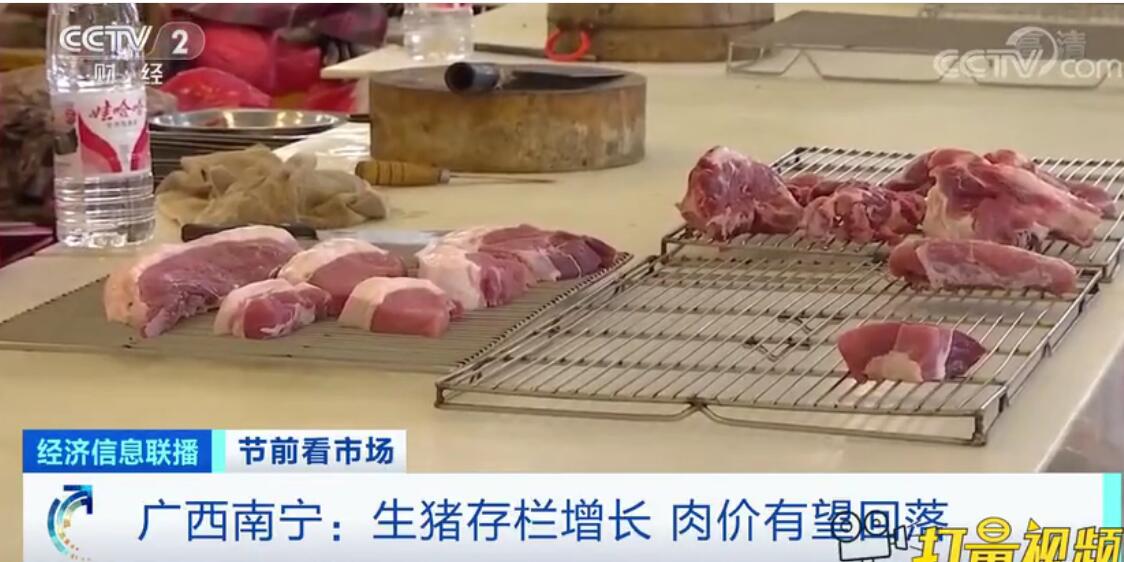广西南宁：生猪存栏增长，肉价有望回落
