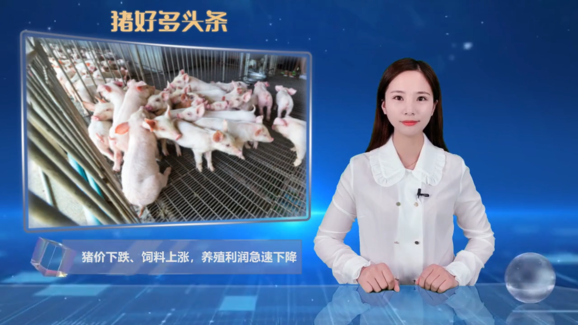 猪价崩盘，饲料上涨，养殖户抛售！养猪躺着赚钱的好日子要结束了