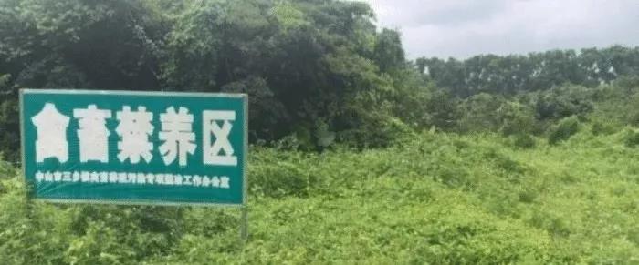 “禁养”名单已经发布，主要有以下这些地区，养殖户最好早转型！