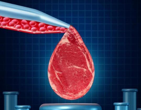 人造肉千亿赛道再起波澜：中外企业纷纷抢滩 盈利难仍是痛点