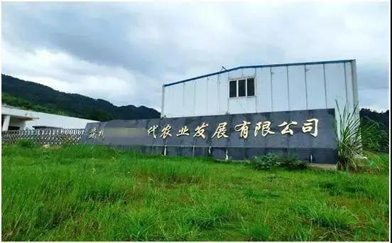 卖房筹资！刚建成屠宰厂，就被政府部门要求搬迁？