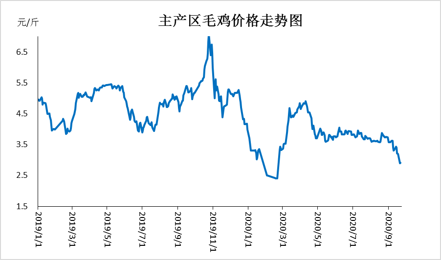 毛鸡价格