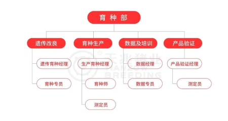 天兆优质种猪