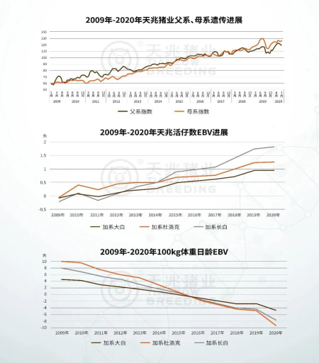 2009年—2020年天兆猪业遗传进展成果
