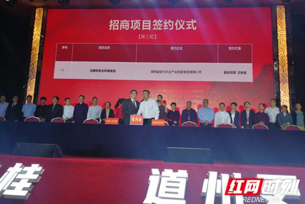 现代农业集团与道县人民政府举行生猪标准化养殖项目签约仪式
