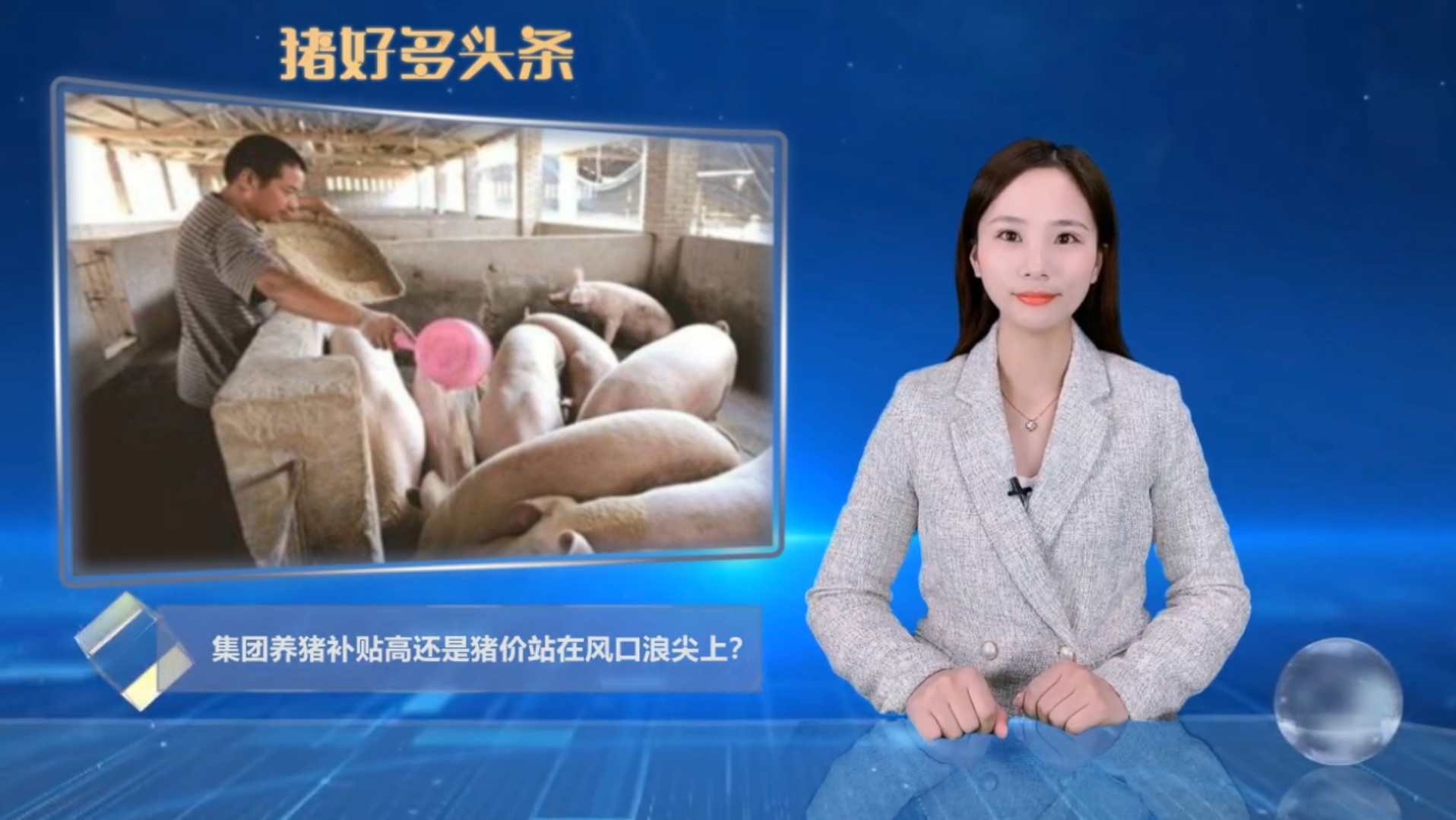 养猪如此火爆，为何散养户纷纷退出？而集团养猪占比逐步扩大！