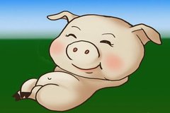 供应宽松基调不改 9月猪价开启泄洪模式