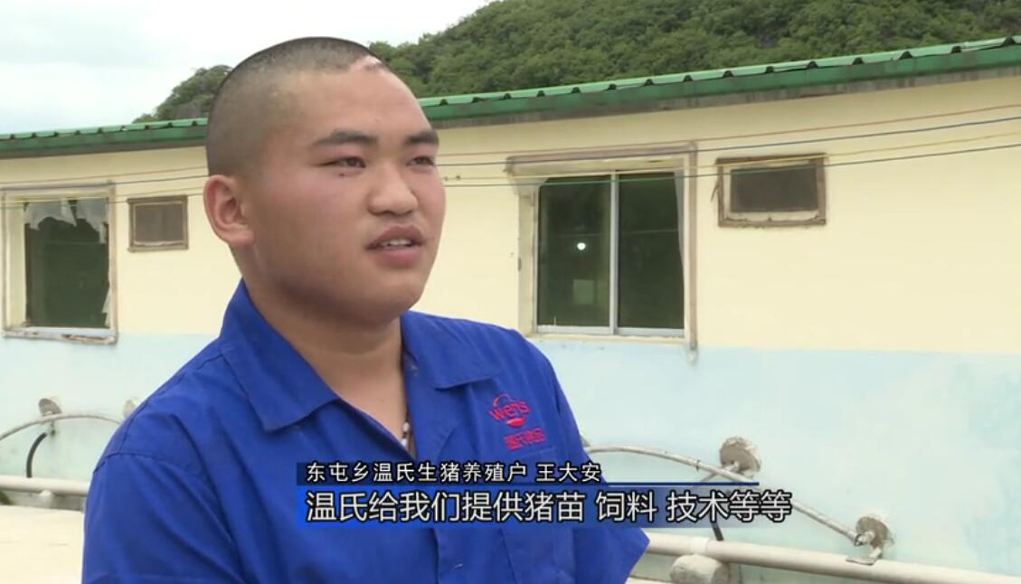 西秀区：“生猪代养”模式为大小养殖户带来双赢