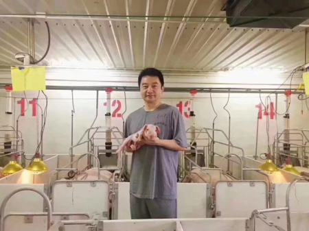 “金猪时代”如何保障家庭农场秋冬猪群腹泻防控！