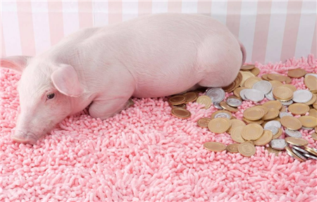 10月9日15公斤仔猪价格：连跌猪市“唱衰”，养殖利润还能回升？
