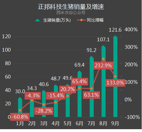 生猪销量