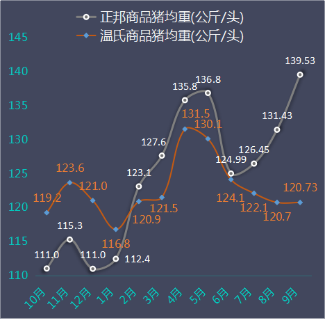 商品猪