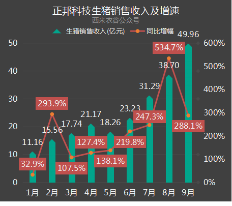 生猪销售