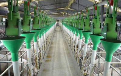 畜牧业追求“人管设备” 实现智能机械化现代养殖