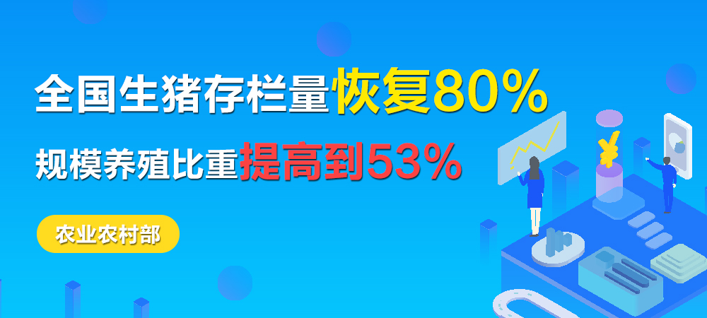 农业农村部：全国生猪存栏量恢复80%，规模养殖比重提高到53%