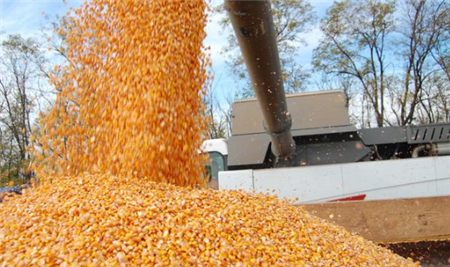10月14日饲料原料价格涨了，豆粕易涨难跌，进口对玉米影响几何？