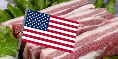 美国猪肉