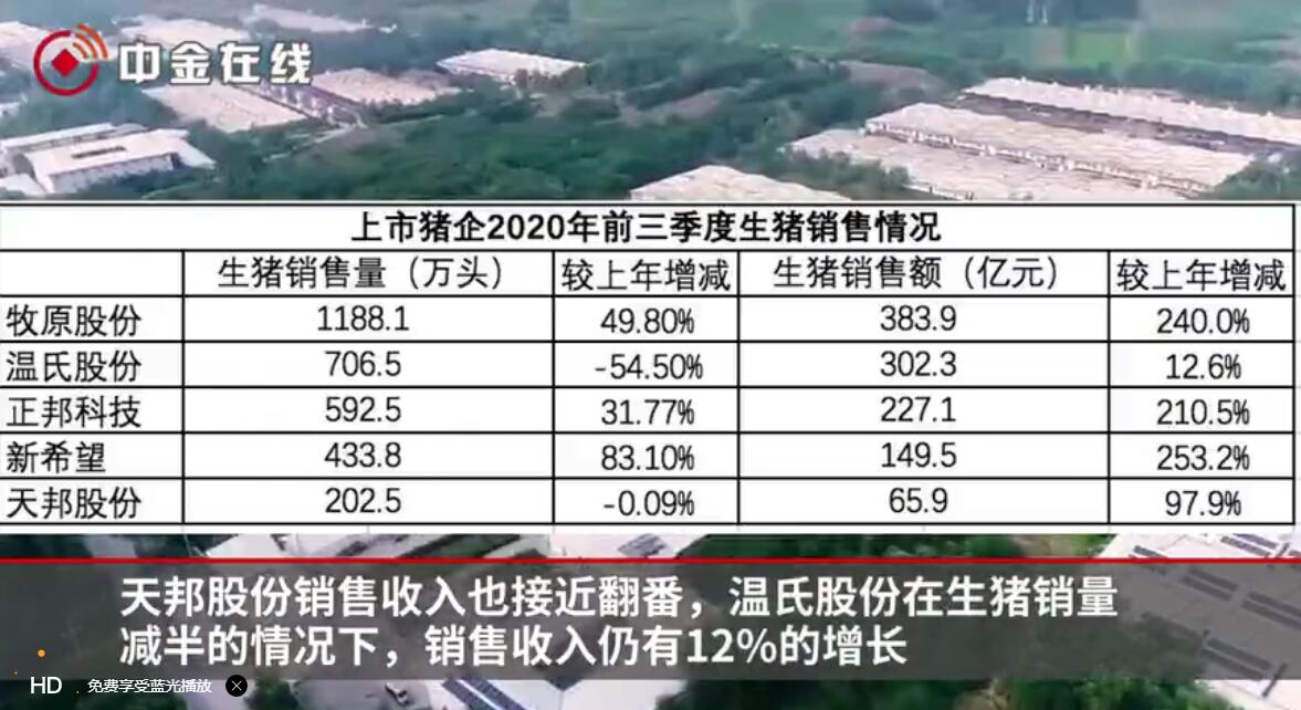 五大猪企三季度成绩单出炉：猪价位于高位，养猪利润大幅增长