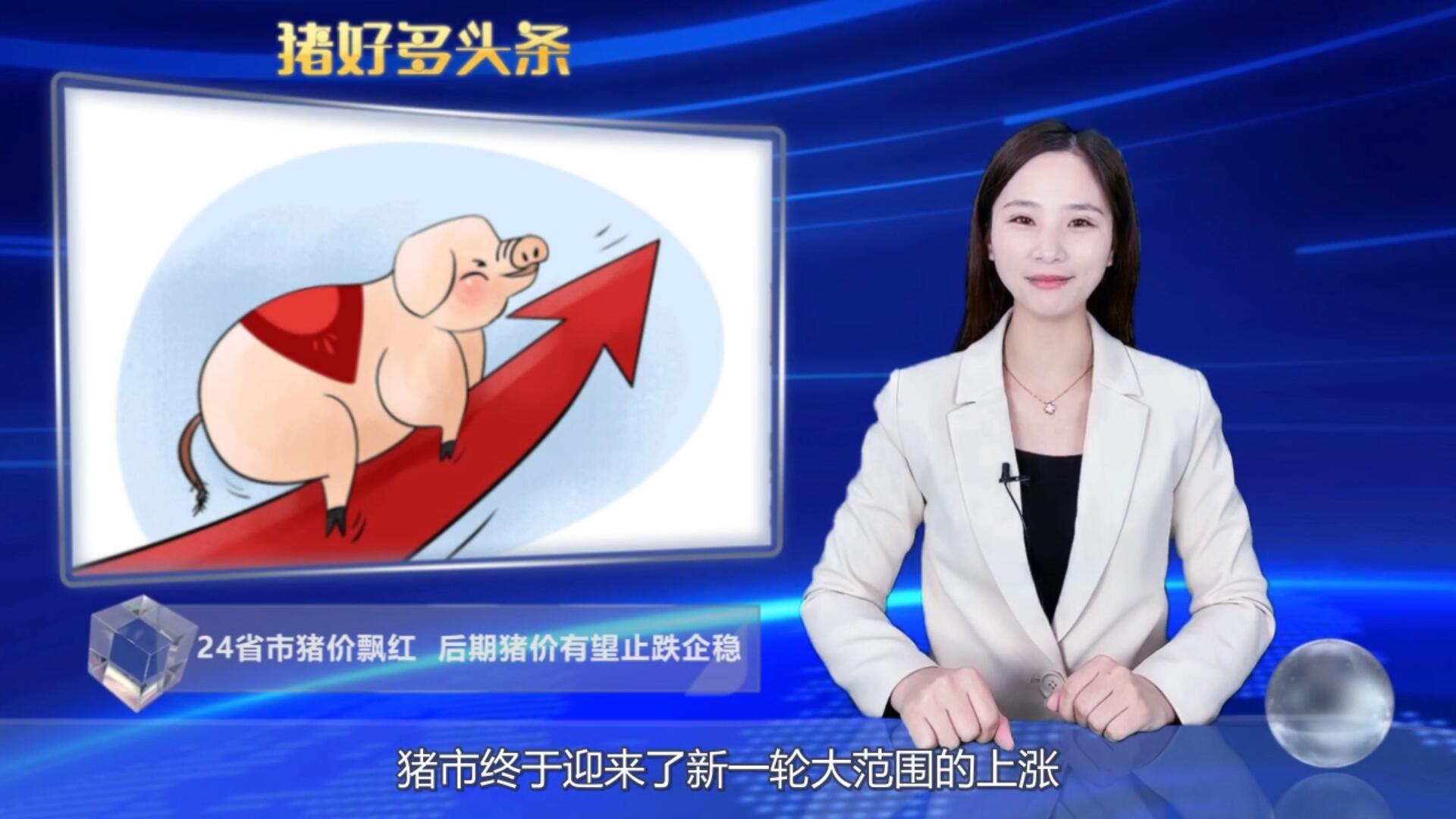 全国猪价触底反弹！上涨大势已定？这波上涨能持续多久？