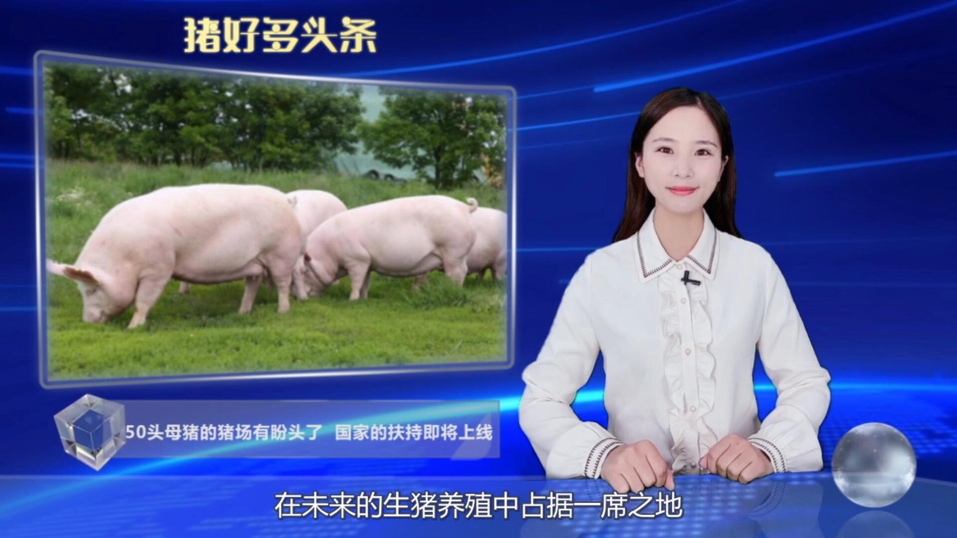 好消息！针对30-50头母猪的小型猪场国家的扶持政策来了！
