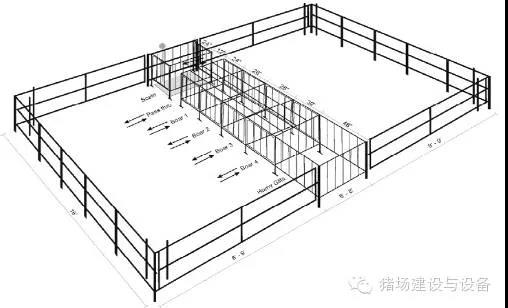 GDU的公猪诱情区