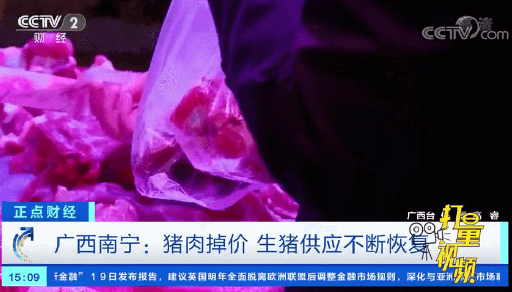 广西南宁：猪肉掉价，生猪供应不断恢复 
