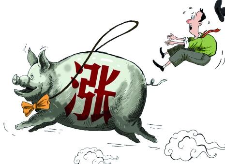 猪肉价格上涨