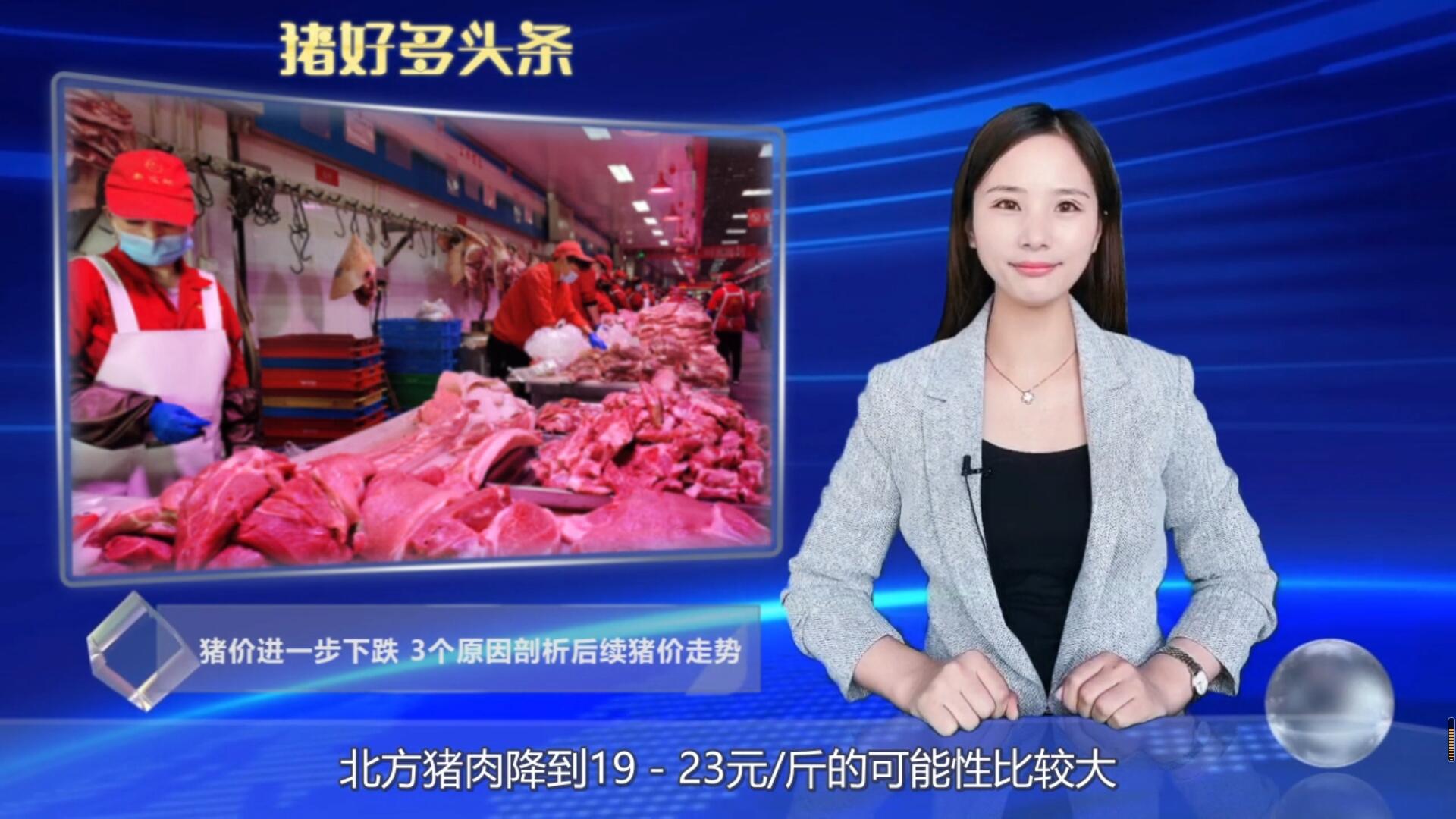  跌“惨”了！多地猪价跌破14元，后续猪价怎么走？关键看这3点！