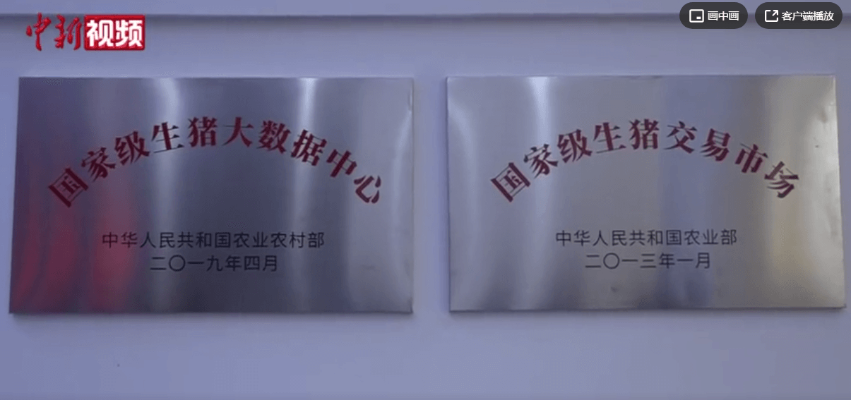  当“生猪”遇上大数据从出生到餐桌“一目了然”