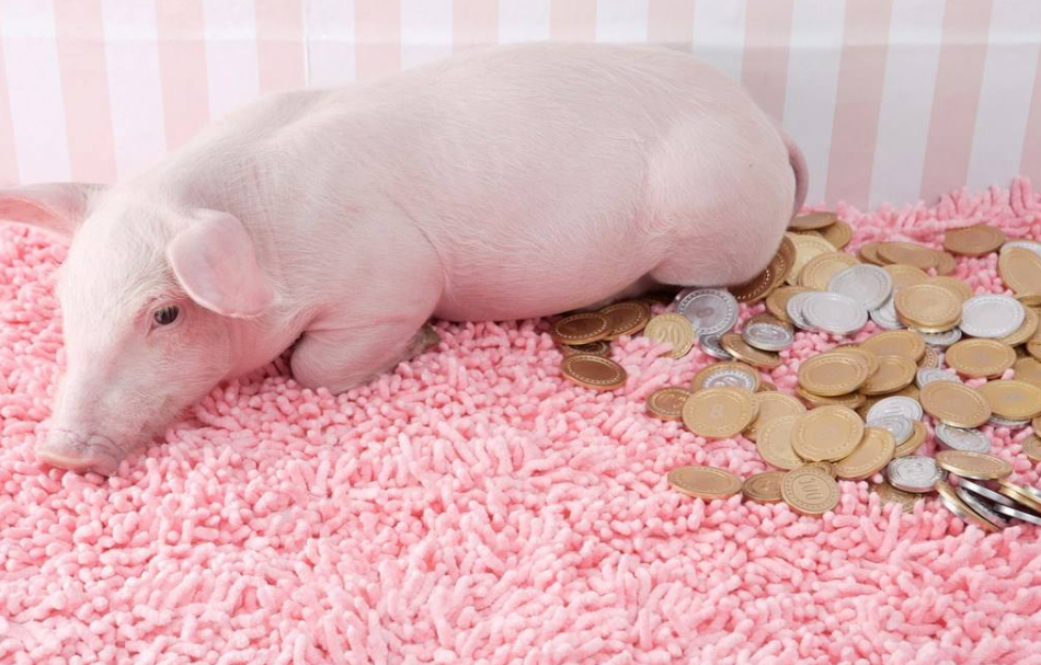 10月27日江苏省各市区内三元生猪价格，除2地上涨外仍以下跌为主！