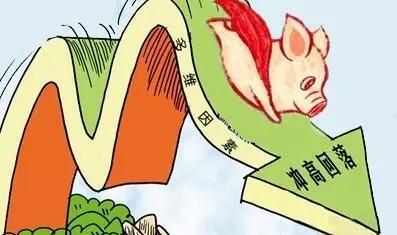 2020年10月31日全国各省市白条猪肉批发均价报价表，批发市场白条开磅价格呈现下跌态势